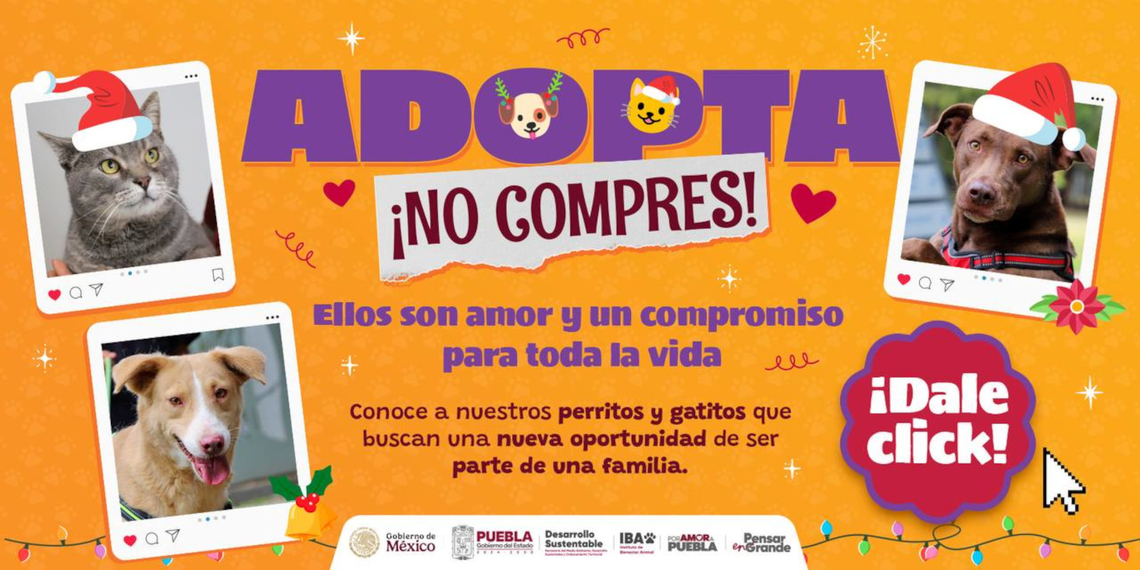 adopta 