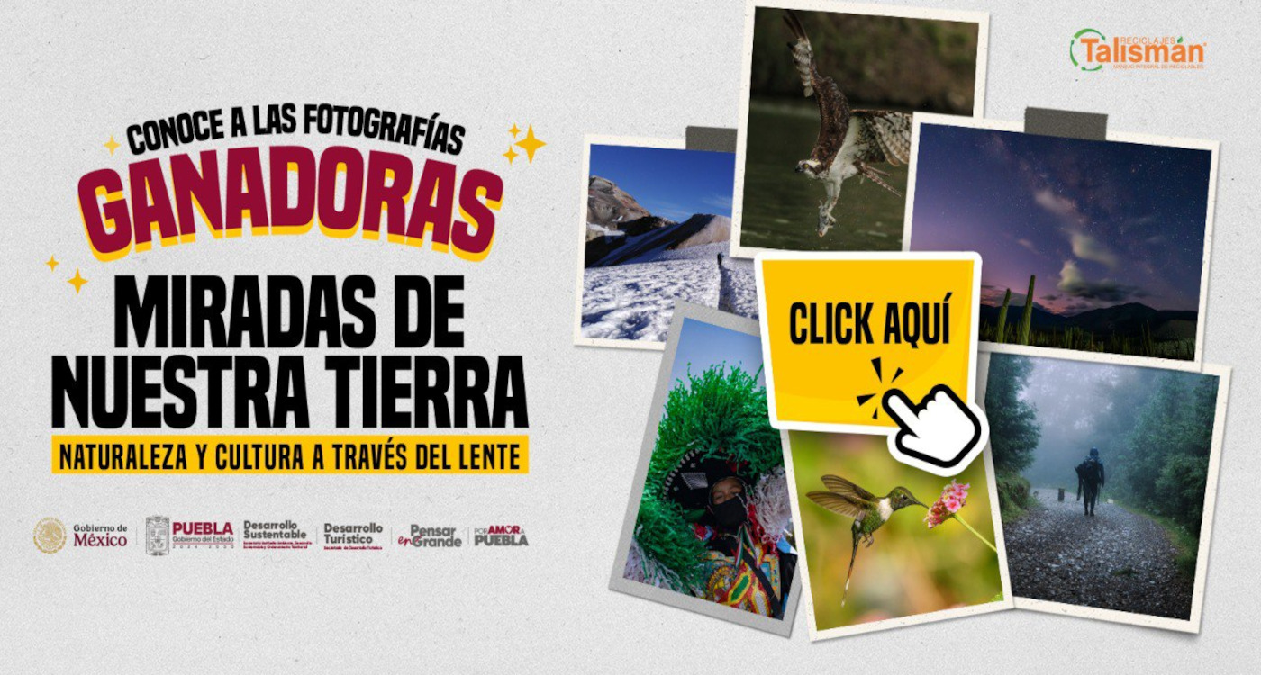 Concurso de foto estatal 